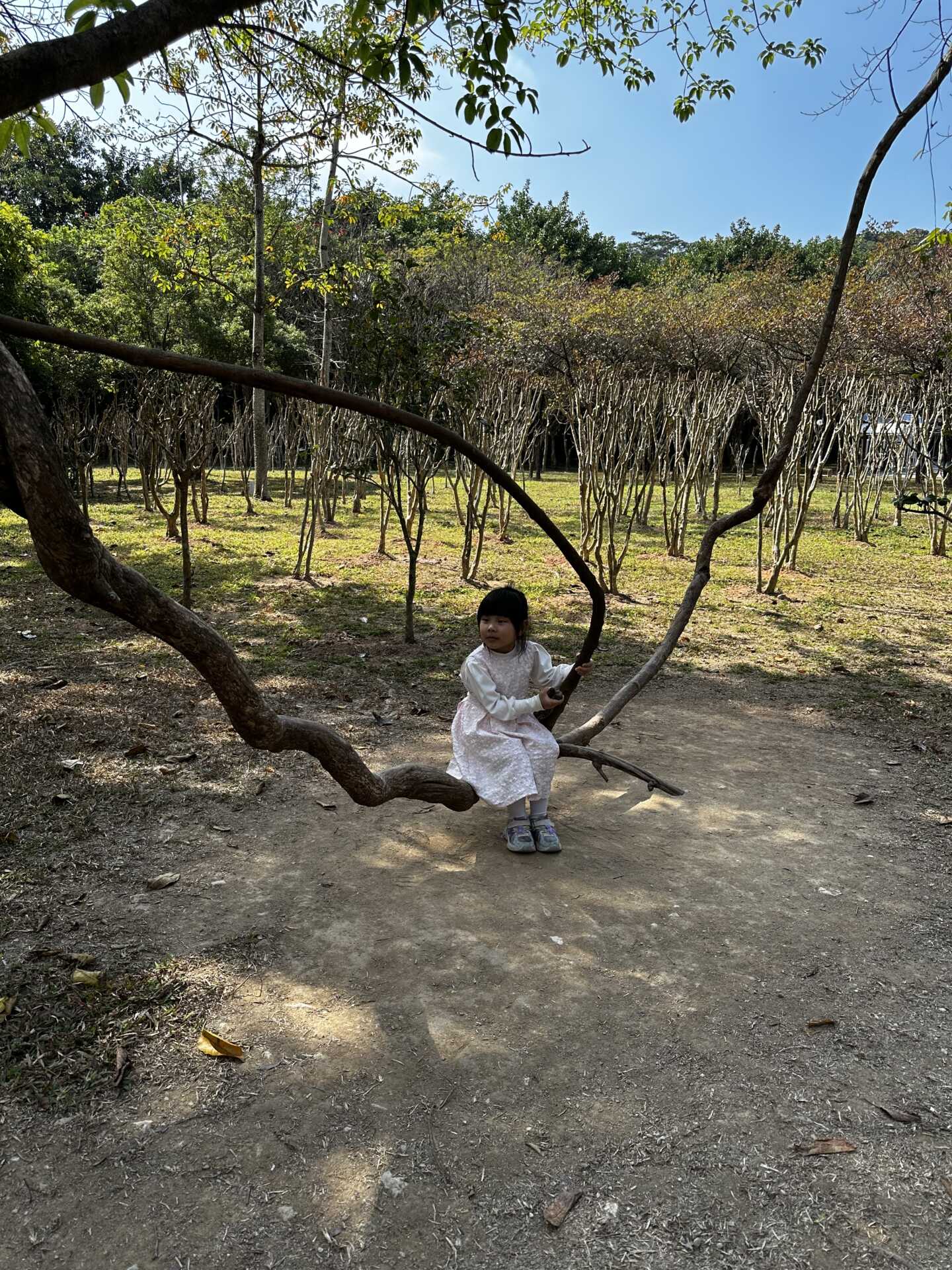 莲花山公园